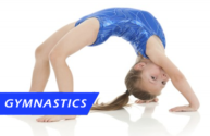 Gymnastics for web