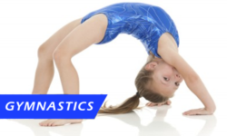 Gymnastics for web