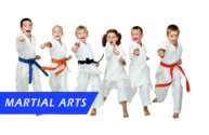 Martial arts for web